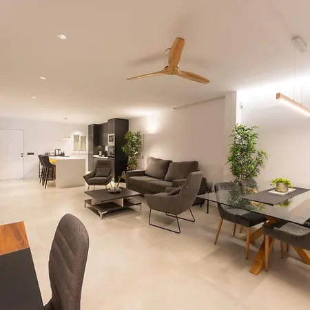 Designer Loft With Pool, With Gigantic Terrace And Private Parking & In The Centre Appartement