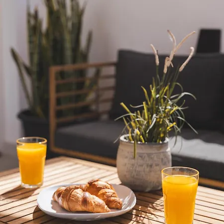 Designer Loft With Pool, With Gigantic Terrace And Private Parking & In The Centre Apartamento *